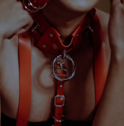 BDSM y Bondage - Esposas, antifaces y más