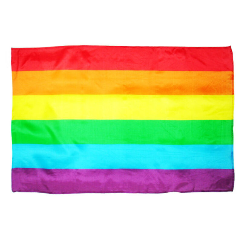 PRIDE - BANDERA GRANDE LGBT 11 img 124095 e58493896ff93e518e20814ec6fabc73 1