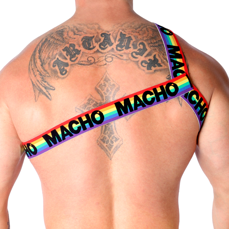 MACHO - ARNES ROMANO AMARILLO S/M 1 MACHO - ARNES ROMANO AMARILLO S/M - Imagen 2