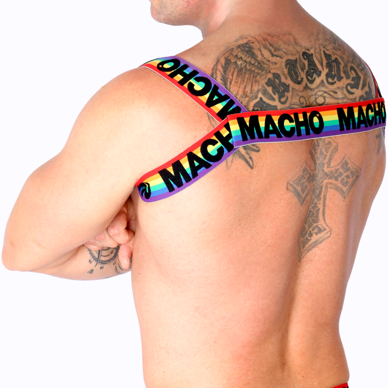 MACHO - ARNES ROMANO AMARILLO S/M 4 MACHO - ARNES ROMANO AMARILLO S/M - Imagen 5