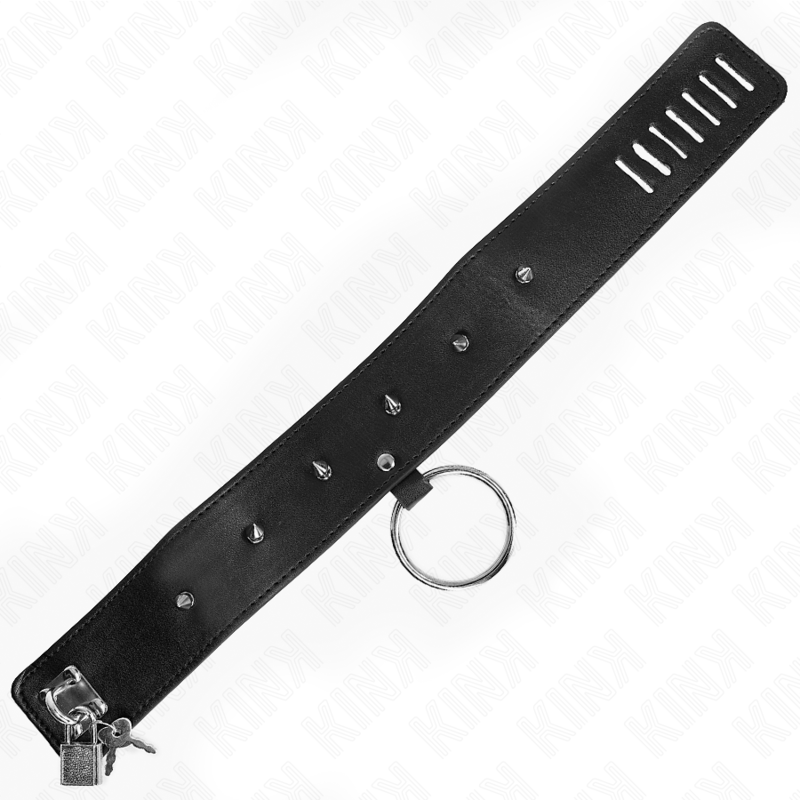 KINK - COLLAR CON CORREA 65 CM CON TACHUELAS PLATEADAS MODELO 2 AJUSTABLE 36-43 CM X 5 CM 5 KINK - COLLAR CON CORREA 65 CM CON TACHUELAS PLATEADAS MODELO 2 AJUSTABLE 36-43 CM X 5 CM - Imagen 5