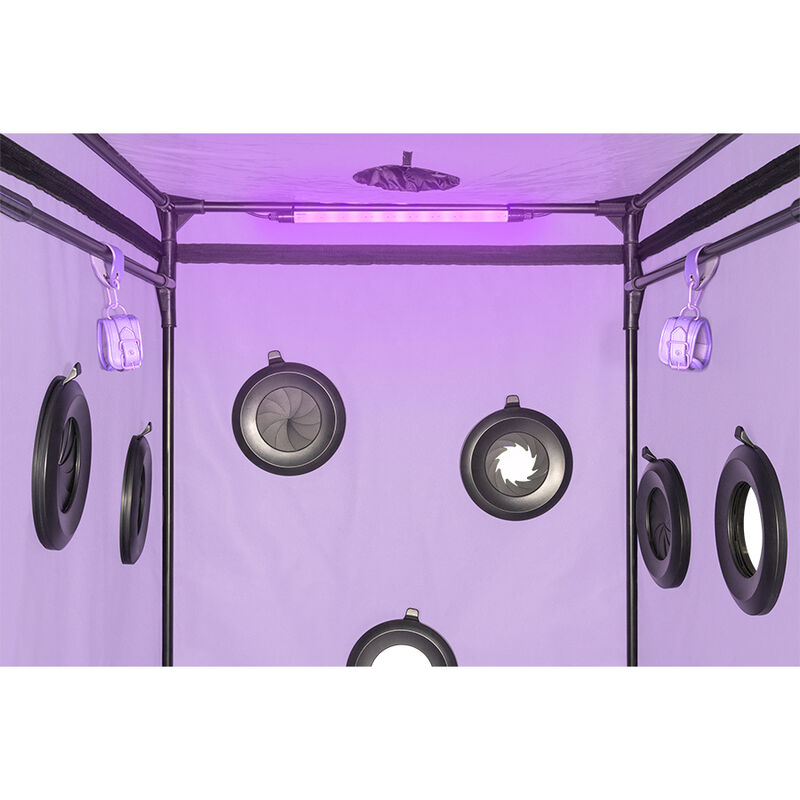 SECRET DOME - KINK CLUB CABINA SCANDALE MORADO 8 SECRET DOME - KINK CLUB CABINA SCANDALE MORADO - Imagen 8