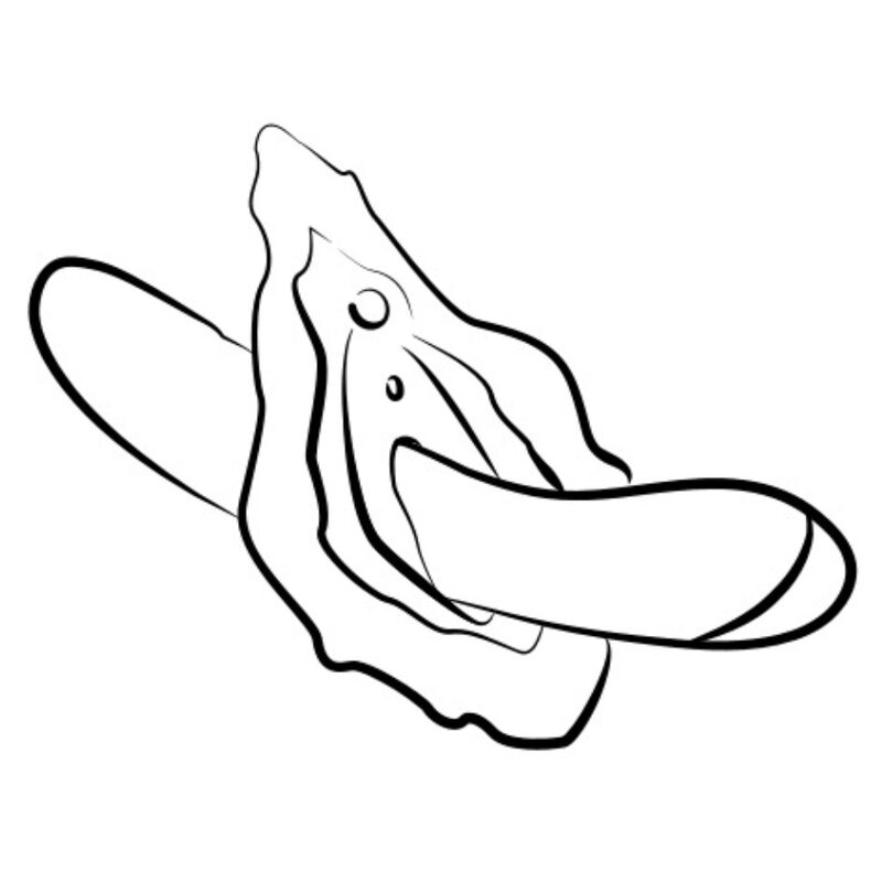 ROMP - HYPE VIBRADOR PUNTO G MULTIFUNCIÓN ROJO 10 ROMP - HYPE VIBRADOR PUNTO G MULTIFUNCIÓN ROJO - Imagen 10
