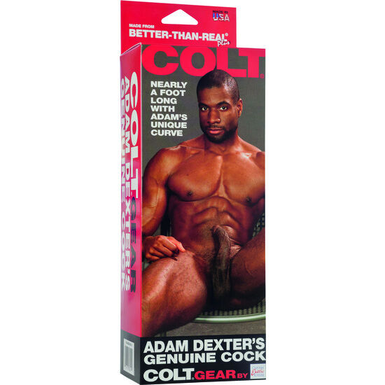CALEXOTICS - COLT PENE REALÍSTICO ADAM DEXTER 2 CALEXOTICS - COLT PENE REALÍSTICO ADAM DEXTER - Imagen 2