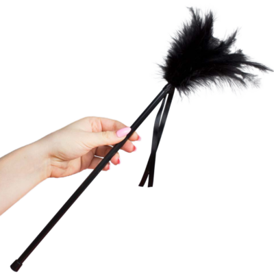 SECRETPLAY - PLUMERO PLUMAS NEGRO 40 CM · SECRETPLAY · Plumas